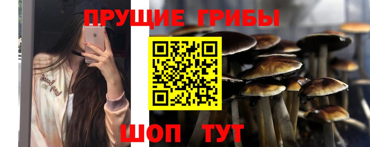 Псилоцибиновые грибы прущие грибы  Вход с VPN  Галлюциногенные грибы Magic Shrooms  Кизилюрт 